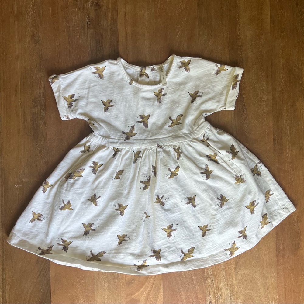 Rylee and Cru Sparrow Dress.